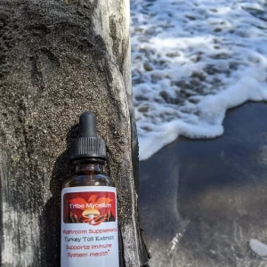 Turkey Tail Extract - 2oz Bottle