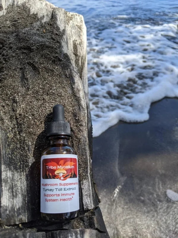 Turkey Tail Extract - 2oz Bottle